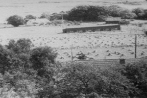 Bilde av Tallakshavn - Losstasjon